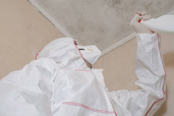 Best Certified Mold Removal  in Woods Creek, WA
